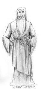 4_Senocondus