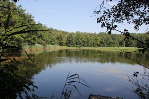 Gewaesser Oberschwaben